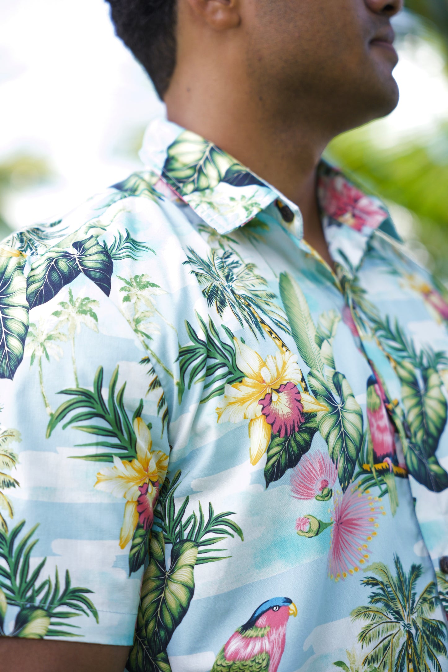 Men's Shirts - Kula Bird Print