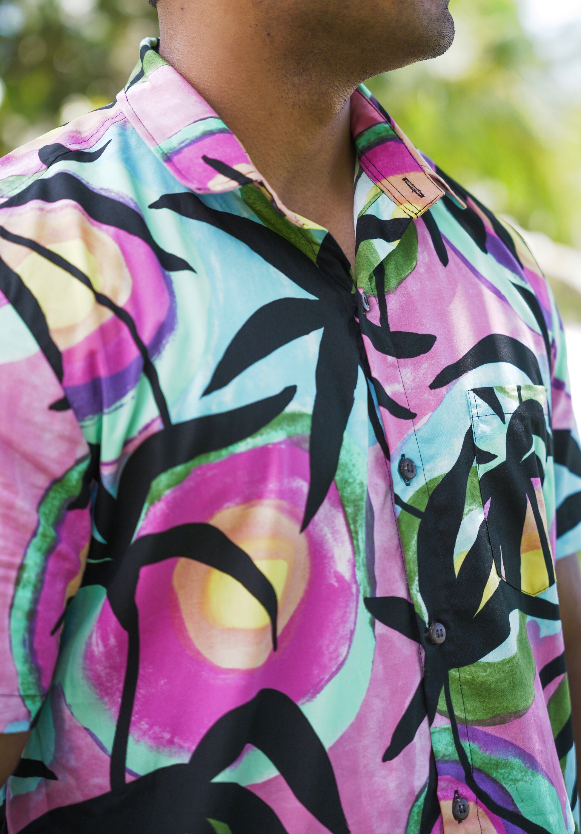 Fiji Sunset Print